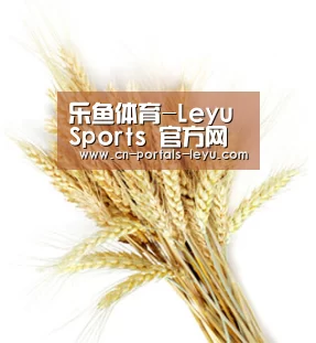 乐鱼体育-Leyu Sports 官方网页版-在线登录网址