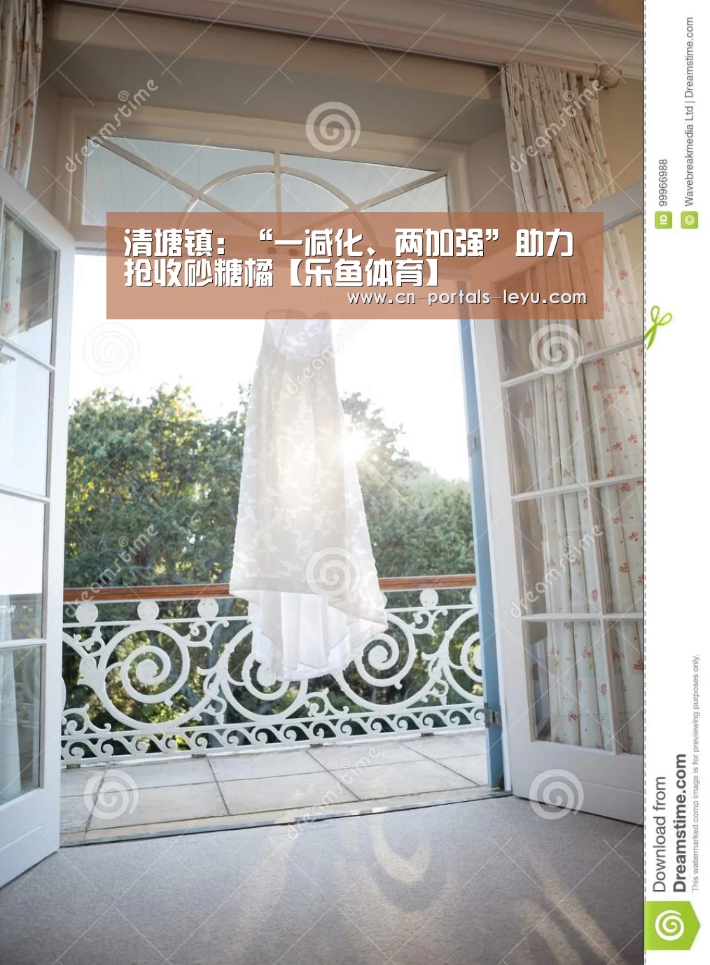 清塘镇：“一减化、两加强”助力抢收砂糖橘【乐鱼体育】