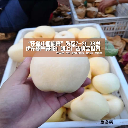 “乐鱼中国体育”残忍7-2!38岁伊布霸气戴帽!跳上广告牌全世界膜拜(图4) 乐鱼LEYU