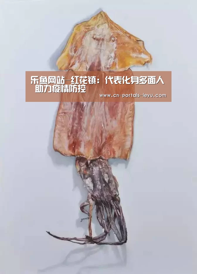 乐鱼网站-红花镇: 代表化身多面人 助力疫情防控(图1) 乐鱼体育