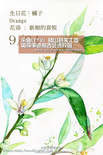 乐鱼LEYU:钟山县关工委英模事迹报告会进校园(图3) 乐鱼LEYU