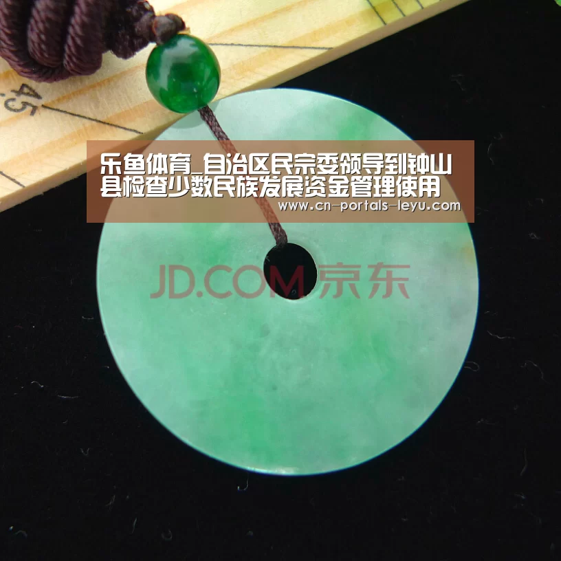 乐鱼体育_自治区民宗委领导到钟山县检查少数民族发展资金管理使用情况(图1) 乐鱼中国体育